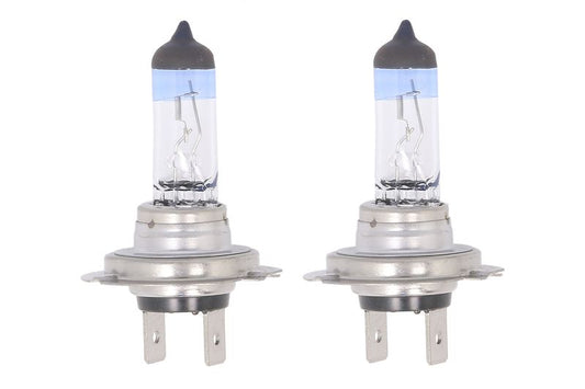 Bec H7 55W Neolux